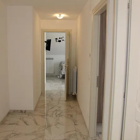 Palm San Benedetto del Tronto